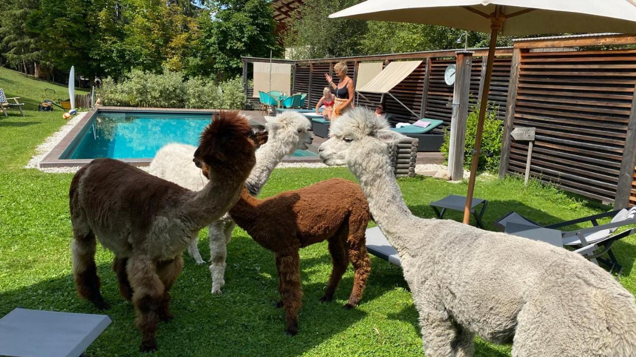 Dolomit Boutique Hotel La Villa  Εξωτερικό φωτογραφία